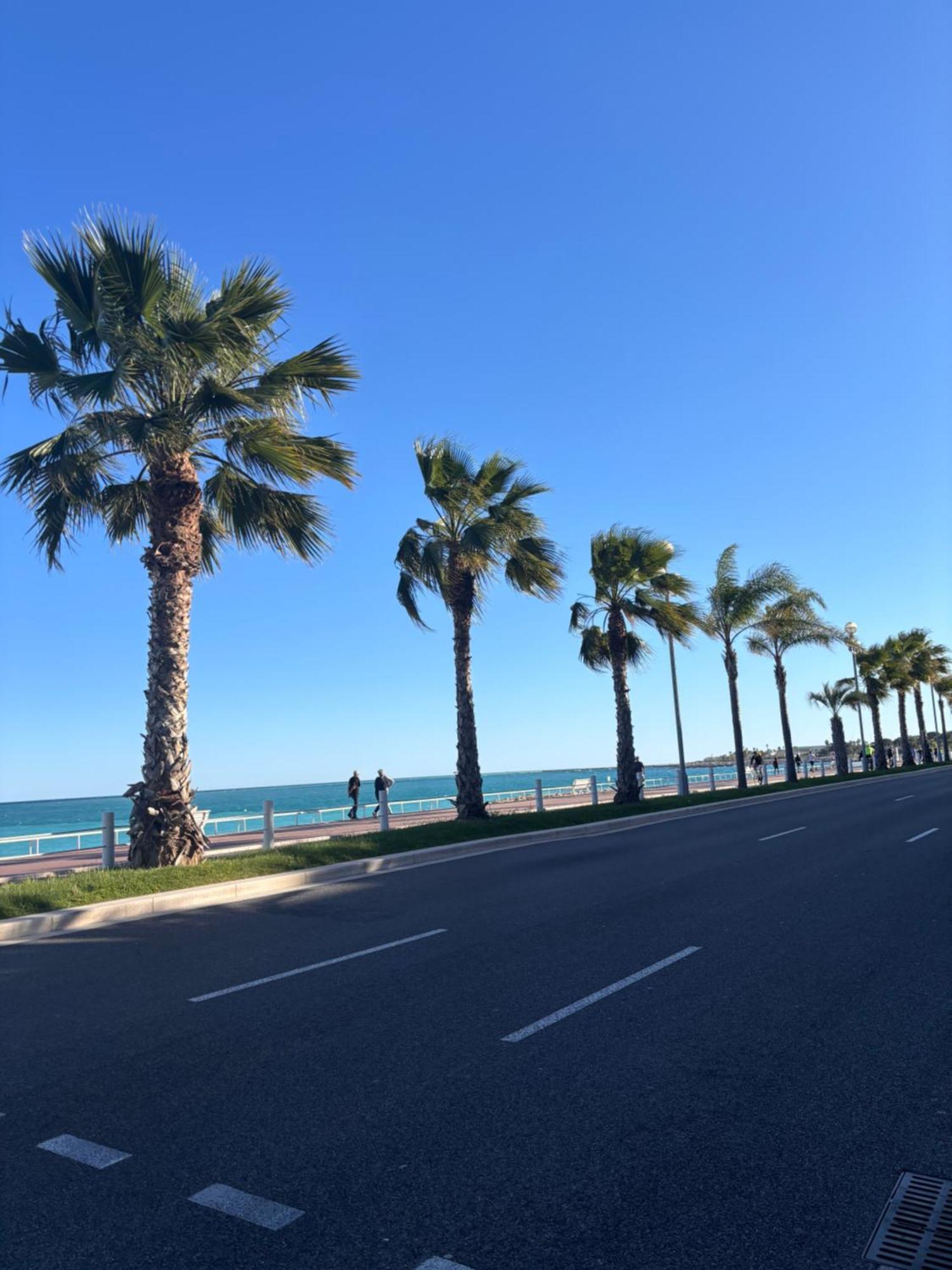 Grand Studio De 30 M2 Promenade Des Anglais Nice Exterior foto
